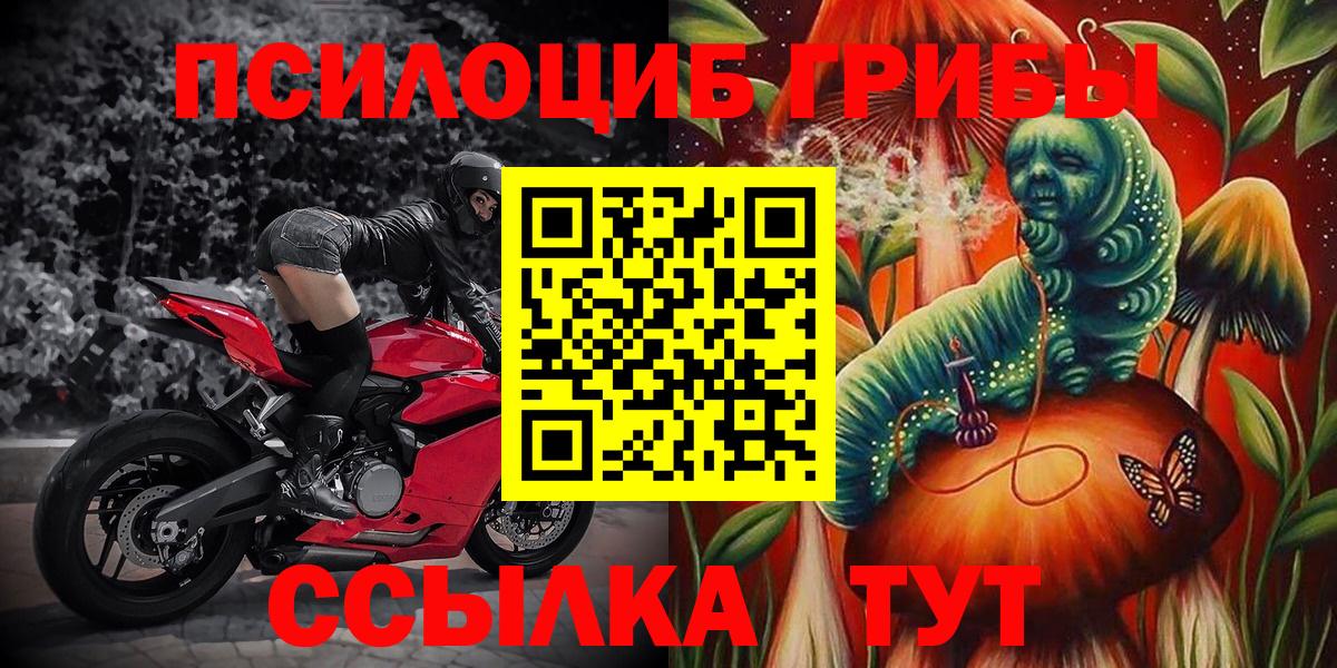 Славгород  Галлюциногенные грибы Psilocybe  Вход с VPN 